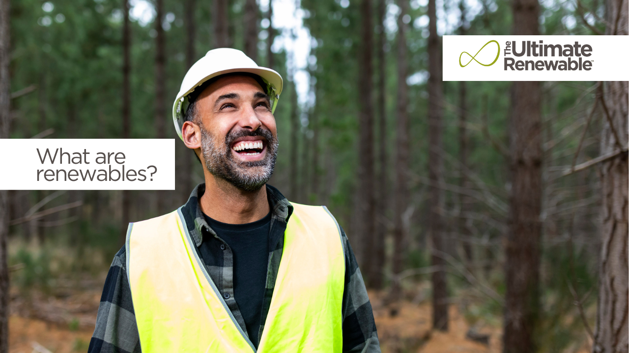 Adam Dovile wearing PPE in a pine plantation as he looks up at the trees