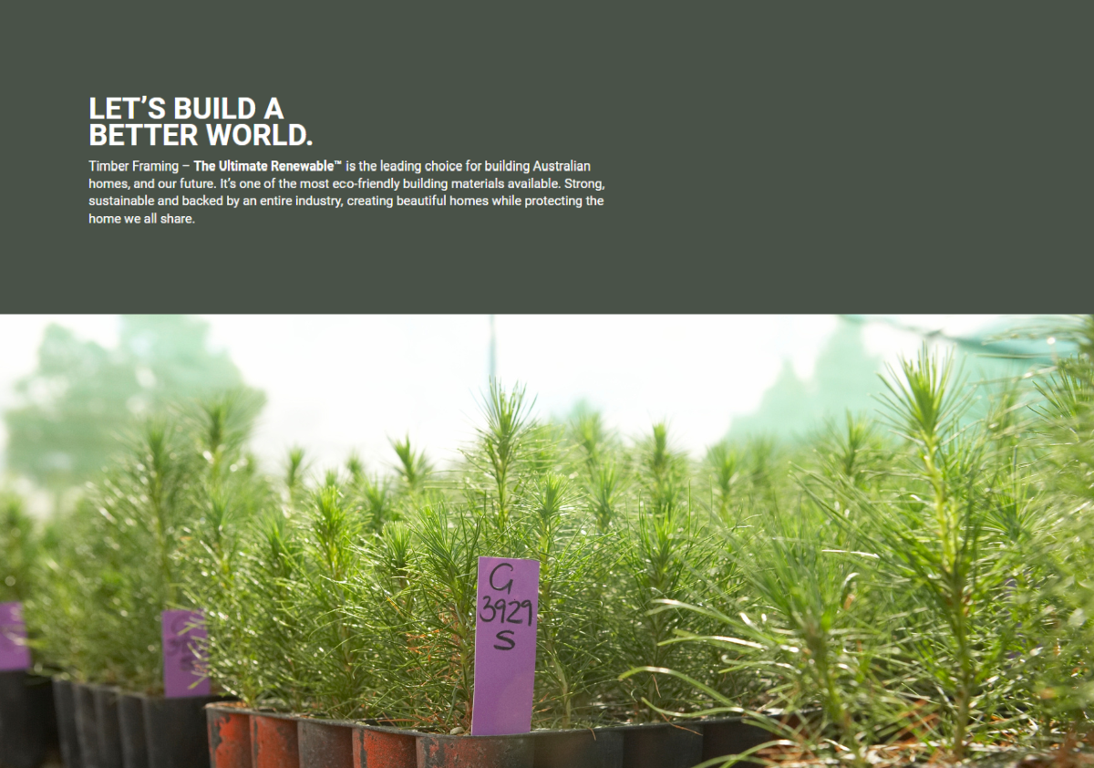 ™ Photo of pine seedlings with text 'Let's build a better world'