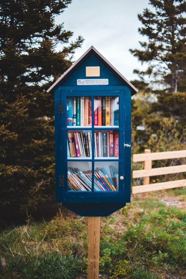 A small, blue tiny library