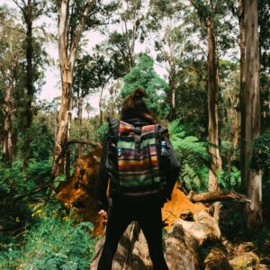 woman hiking across fallen tree